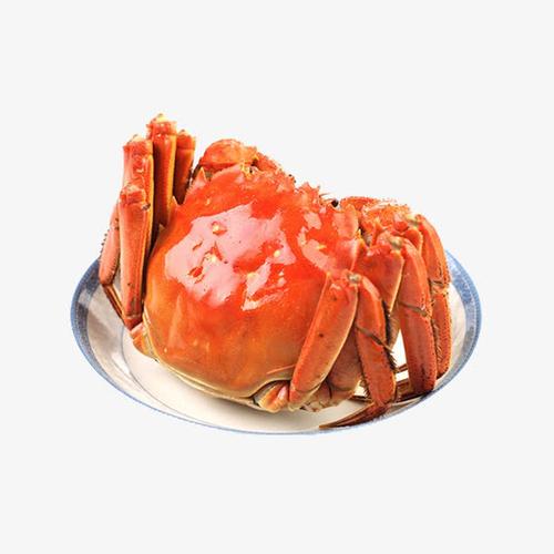 大闸蟹,生鲜,食品,螃蟹,装盘食物,海鲜水产